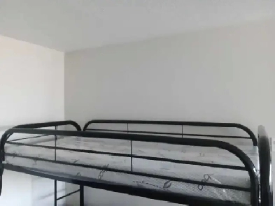 INTERNATIONAL STUDENTS WELCOME YONGE AND EGLINTON Image# 1