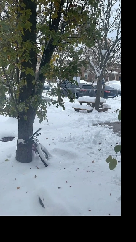 Wanted Room for Rent- Short Term Image# 1