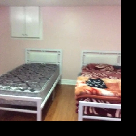 Fully furnished Large Basement for Rent Image# 1