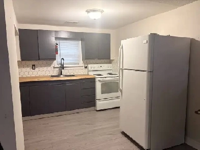 1 Bed 1 Bath Apartment for Rent Image# 2