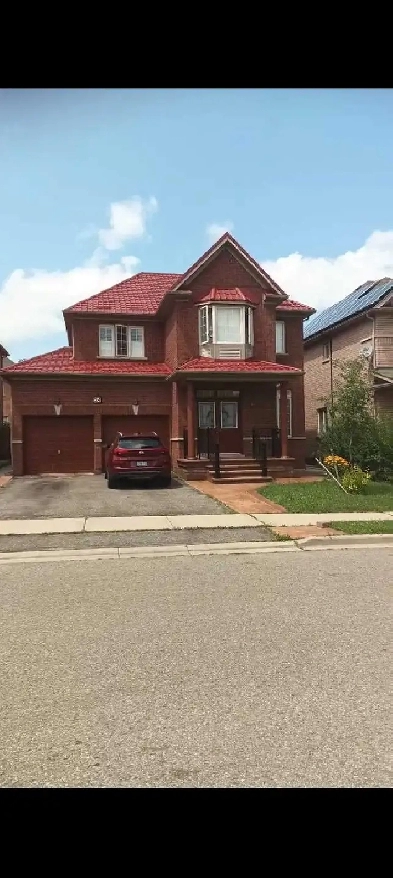 Private Room is Basement for Female only Image# 1