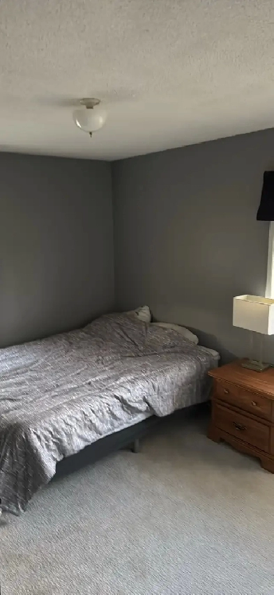 room for rent Image# 3