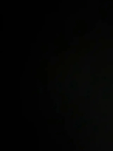 Room Available from Dec 01, 2025 Image# 1