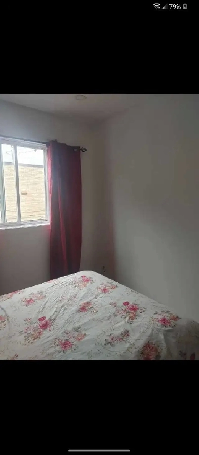 chambre à louer/ ANJOU Image# 1