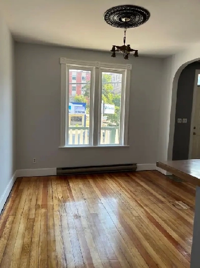 2 Bedroom apartment in Nelson Image# 6