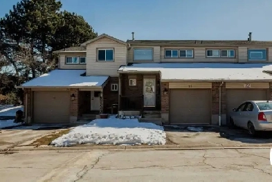 One Bedroom Basement for rent Image# 1