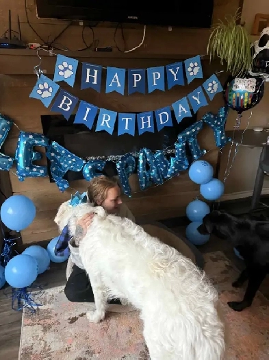 Looking for Rental - 29 Female, my Pyrenees Puppy and Boyfriend Image# 1