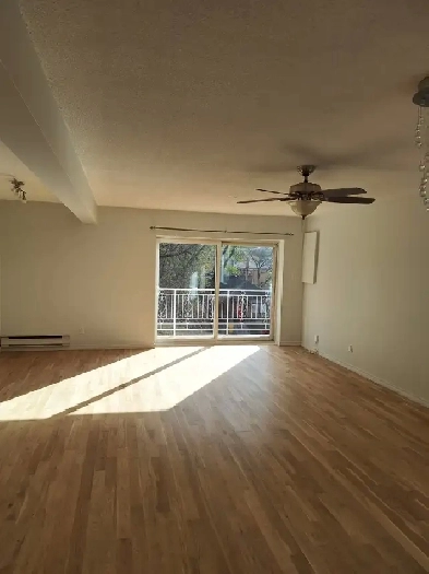 Newly renovated, new 3 bedroom apartment west end Toronto Image# 1