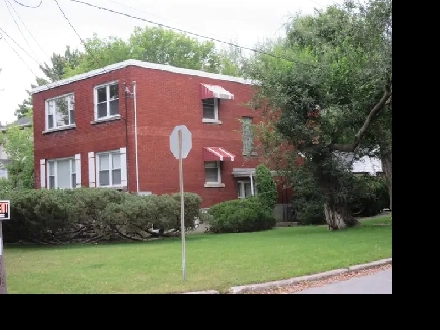 1 Bedroom Apartment - Westboro Immaculate Duplex Image# 1