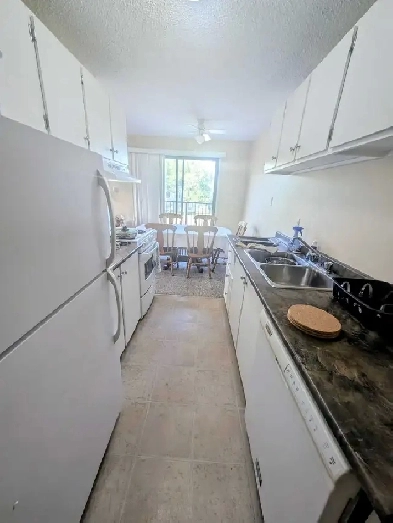 2 bedroom penthouse suite Image# 1