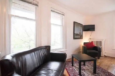 Large Bright Furnished Studio in the Heart of Sandy Hill Image# 1