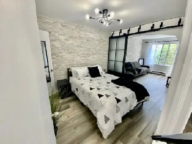 200 m du métro Joliette ! Superbe 3 1/2 rénové à neuf! Image# 1