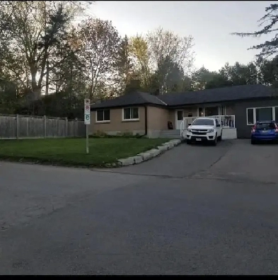 Bight, clean, open bsmt apt West end by hospital. Image# 8