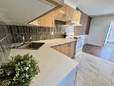 HoMa superbe 4 1/2 rénové à neuf! Libre immédiatement! Image# 1