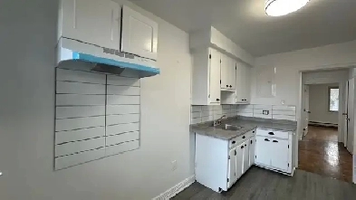 Ahuntsic grand 3 ½ rénové $1150/mois Image# 1