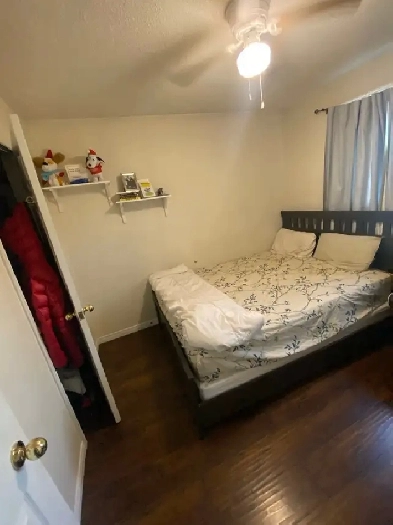 Private Bedroom    Washroom – Female Only – Bramalea/Sanda Image# 1