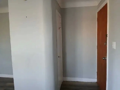 LARGE BRIGHT BACHELOR Image# 1