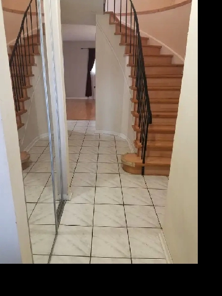 Rooms for Rent Near Humber College North Campus - NOW AVAILABLE! Image# 1