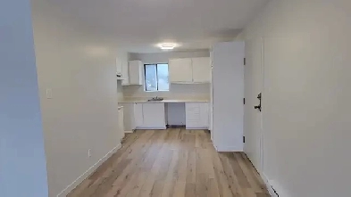 Grand 4 1/2 rénové à Deux-Montagnes Image# 1