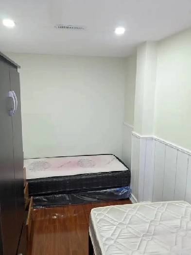 Room in Scarborough - Available from December Image# 1