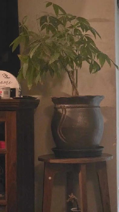 basement for rent Image# 1