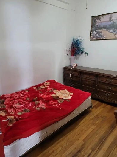 Rosemont Chambre à louer Image# 1