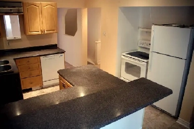 Large 2-Bdrm in Little Italy Image# 1