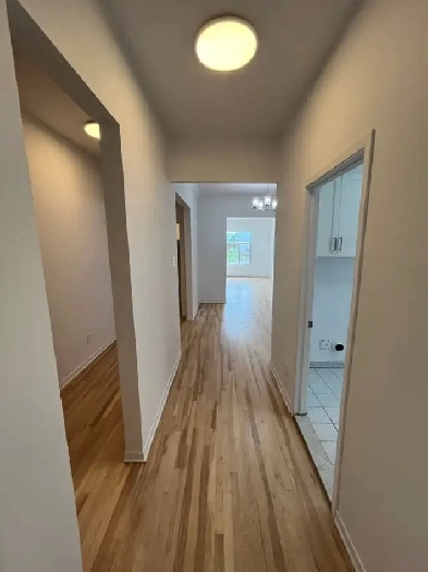 5½, 2 Bedrm apt. Plateau-Mont-Royal / Mile End. Newly renovated. Image# 1