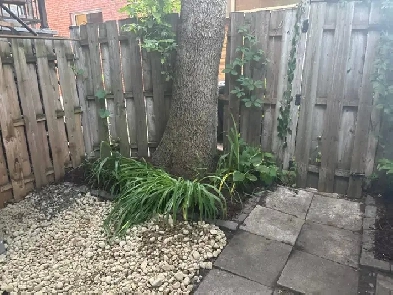 Métro St-Henri: Ground floor w/ 2 BDR, internet, 5 appliances Image# 1