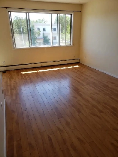 DECEMBER FREE! A cozy 1-bedroom suite on 82 ave. at $1150 Image# 1