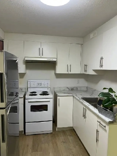 One Bedroom Suite For Rent Image# 1