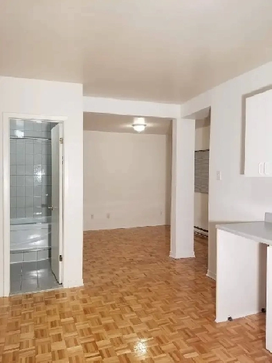 Logement semi meublé 4 1/2 à louer Plateau Mt-Royal rue Brébeuf