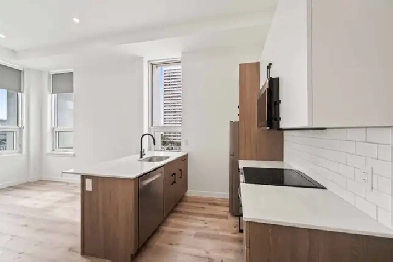 BRAND NEW 1 Bedroom Apartment Located In The Heart Of Downtown! Image# 1