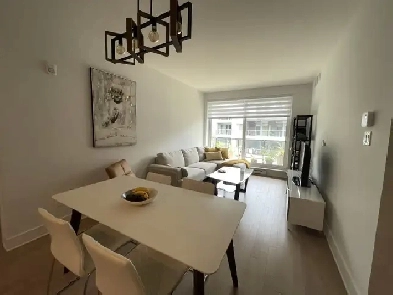 room to rent   Griffintown