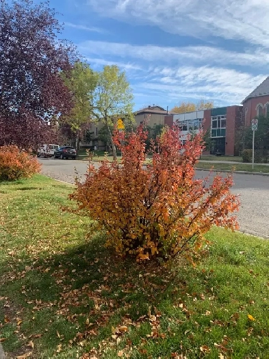 Suite available in the Historic, Charming Comm. of Inglewood Image# 1