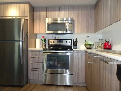 UBCO 3 3 2 FULLY FURNISHED! U-TWO KELOWNA Image# 2