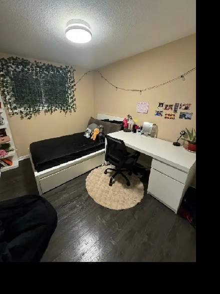 Room In Guelph Image# 1