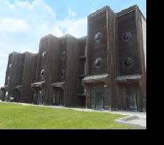 #447-42/ 1 Bed/1 Bath Suite Available Dec 1st $950 Image# 1