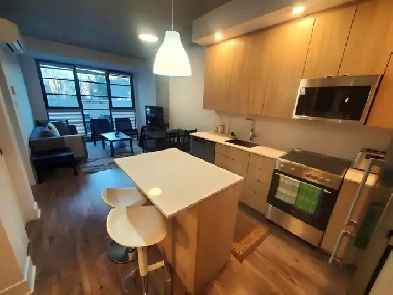For Rent FURNISHED One-Bedroom Condo (3 1/2) in Griffintown Image# 1