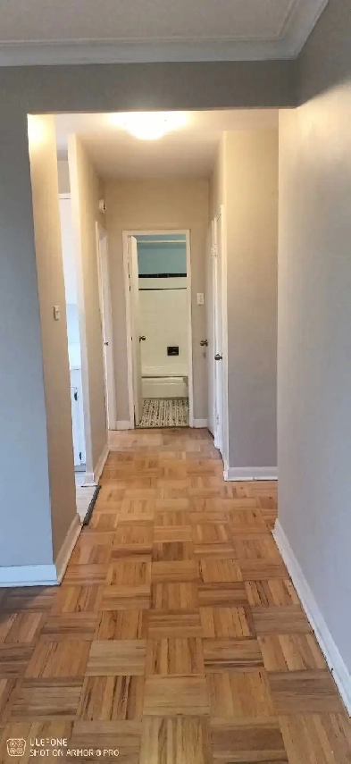 Pape and Cosburn Large One Bedroom Apartment Image# 1