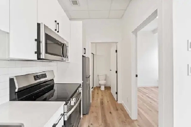 BRAND NEW 1 Bedroom Apartment! Heart of Downtown! Image# 1