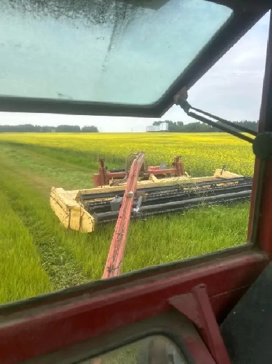 looking for hay land to rent Image# 1