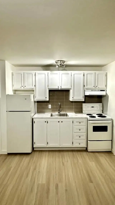 3 1/2   LIBRE , RÉNOVER  rue des jonquilles Image# 4