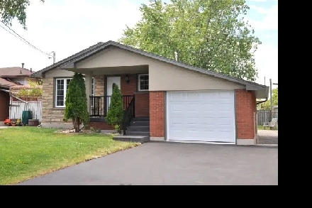 Upper Unit for Rent in the Hamilton Mountain Image# 1