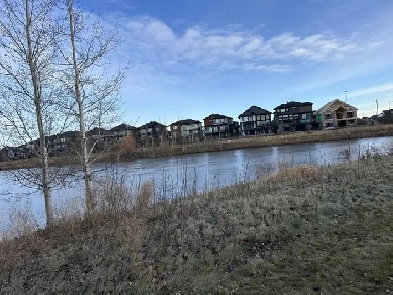 Beautiful 2-Bedroom Garden Suite for Rent Image# 4