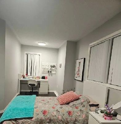 Room for Rent Image# 1