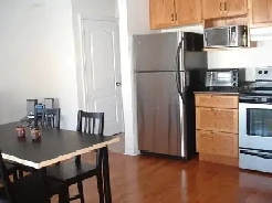 Young Professional or International Student on 24 HR transit Image# 1