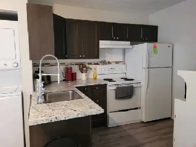 Petite 31/2 Près du cégep Chicoutimi Image# 5