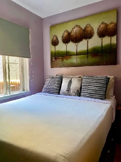 appartement en colocation au cœur de Montréal Image# 1