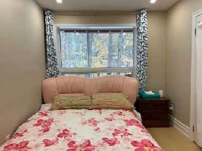 Only $1188 Best deal! one bedroom unit on the main floor rent Image# 1